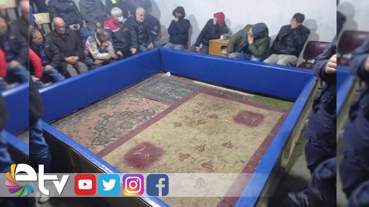 HOROZ DÖVÜŞÜNE 49 BİN TL CEZA