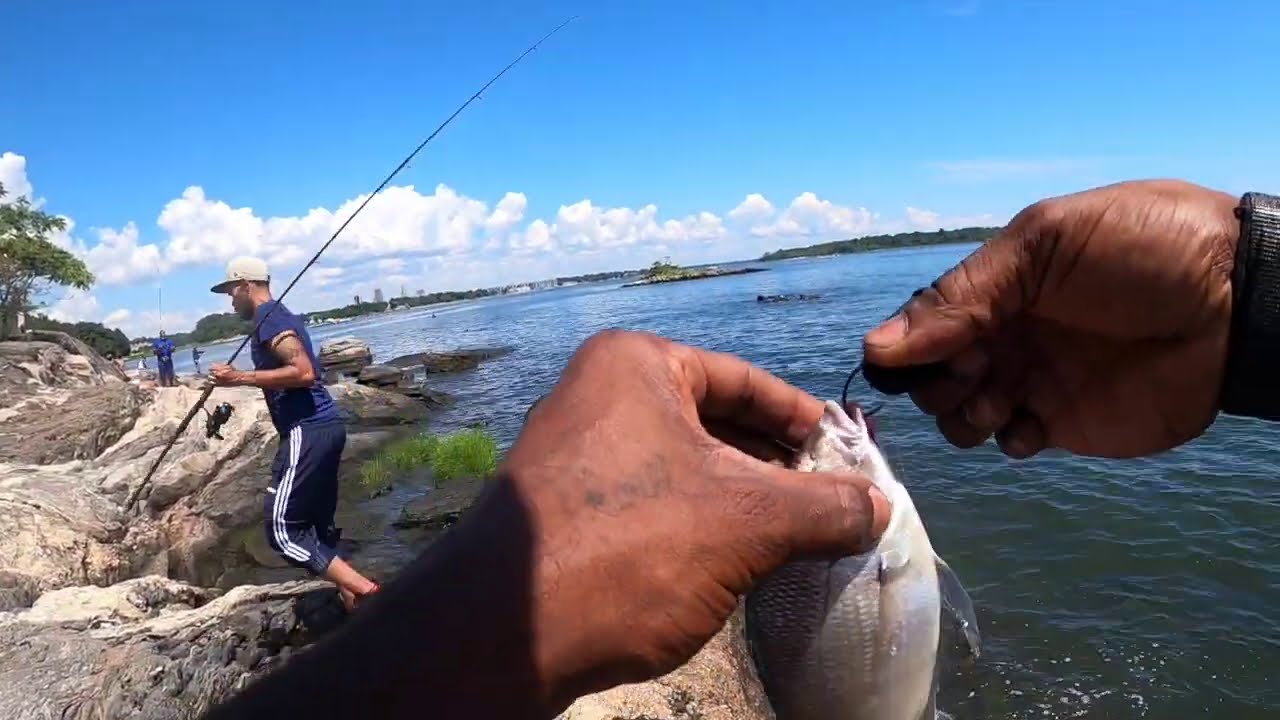 Surf Fishing for Porgies in Bronx NY, City Island