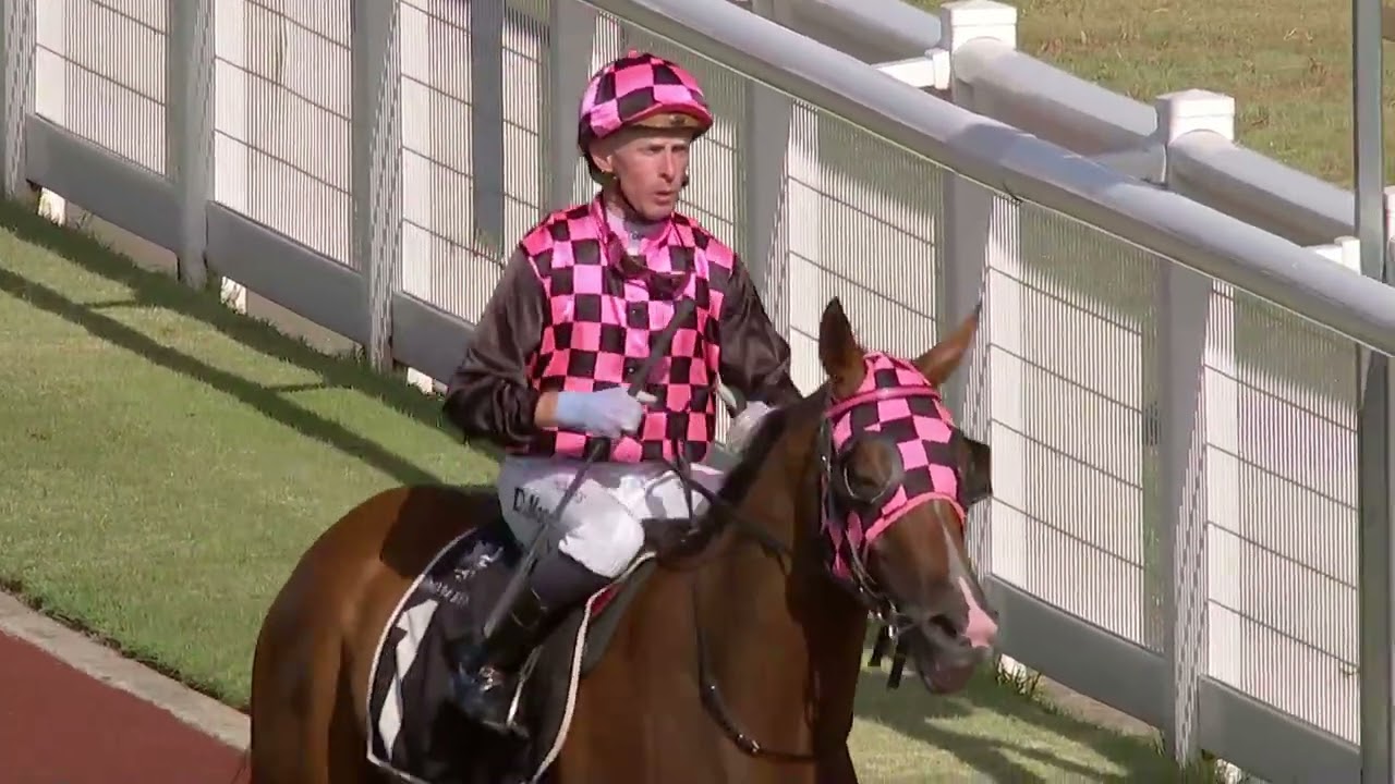 Fabulantes Doomben Sat 7th feb 26
