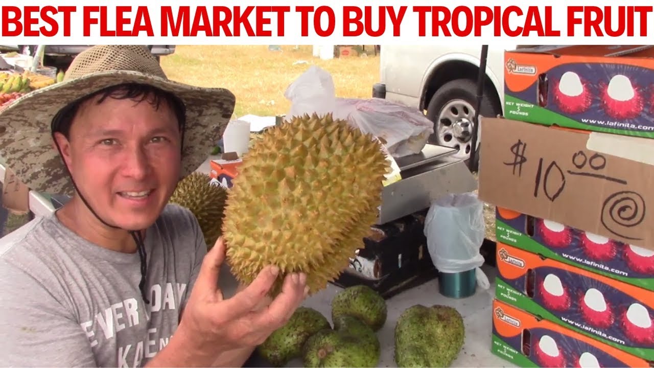 Best Flea Market in the USA to Buy Tropical Fruit I Ever Found