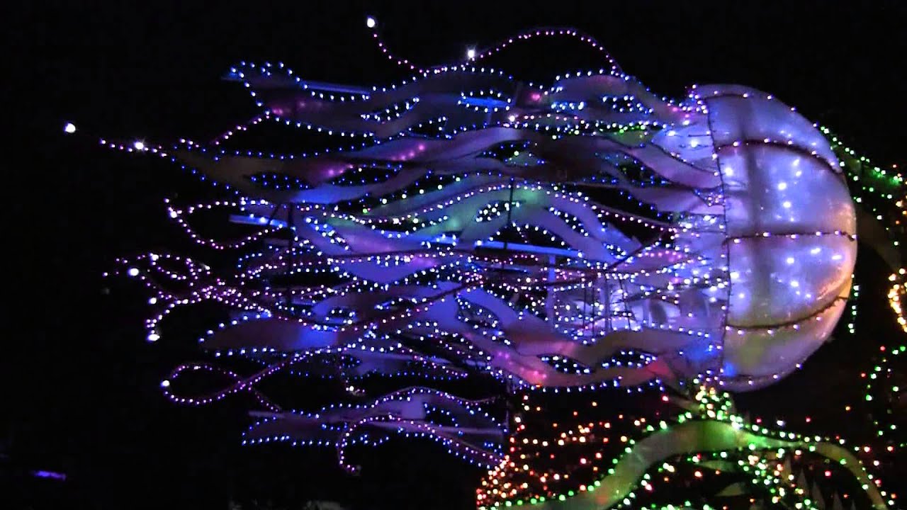 東京ディズニーランド３０thエレクトリカル・パレード・ドリームライツ