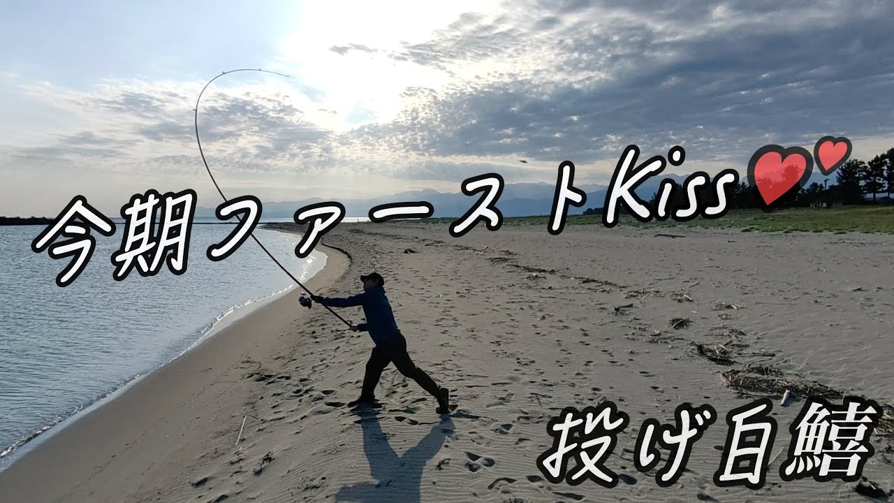 【 シロギス投釣り🎣 】  富山湾 キス調査❤️