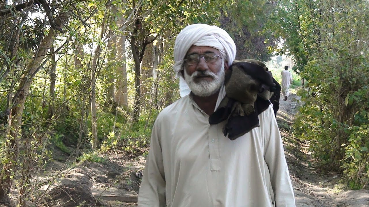 umar rahman