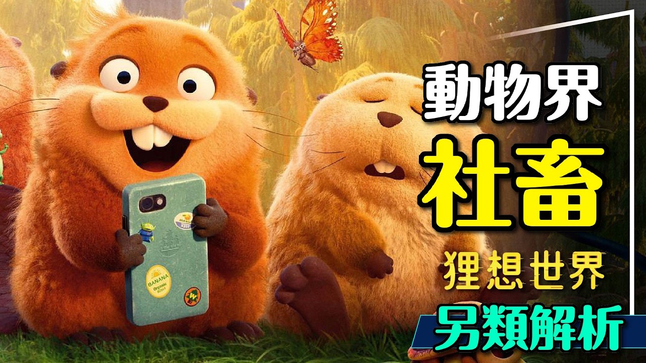🦫必看電影的必看知識！狸想世界無雷另類解析｜河狸海狸海獺水獺到底有什麼差別？池塘守則？Hoppers