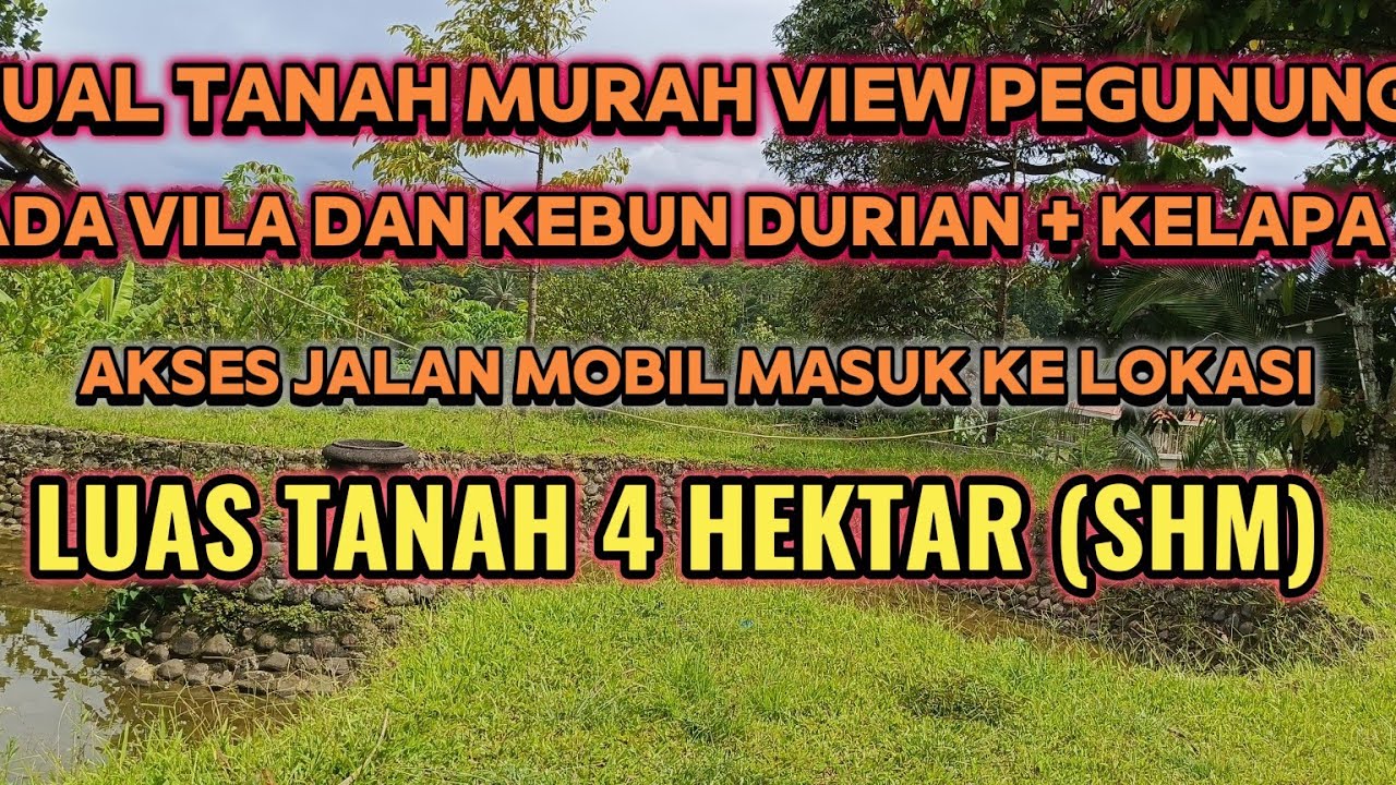 DIJUAL TANAH MURAH KEBUN DURIAN 500 POHON KELAPA 80 POHON SUDAH PRODUKTIF AKSES MOBIL