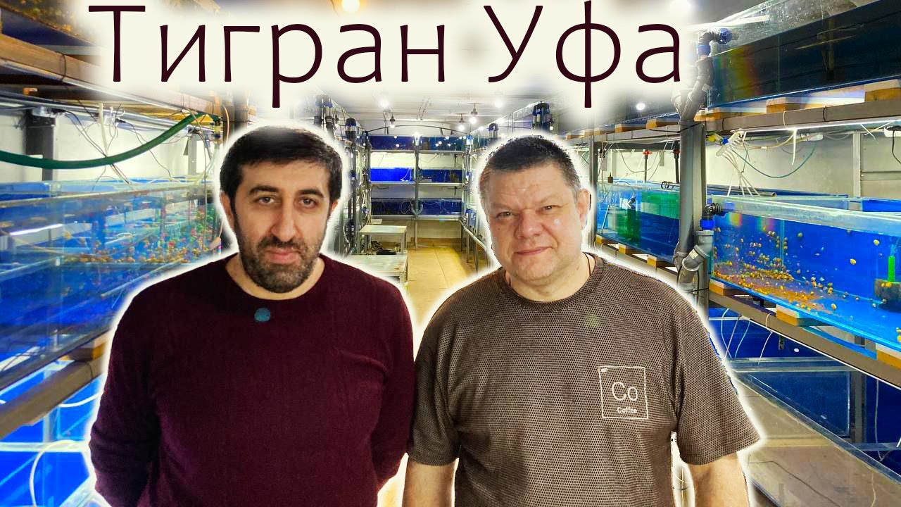 Тигран Уфа