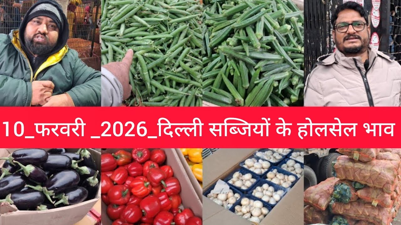 February 10, 2026 दिल्ली सब्जियों के भाव delhi vegetables market delhi fruit market #vegetables