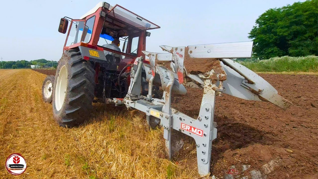 Fiatagri 80-66 + Bivomere ERMO | ARATURA POST FRUMENTO