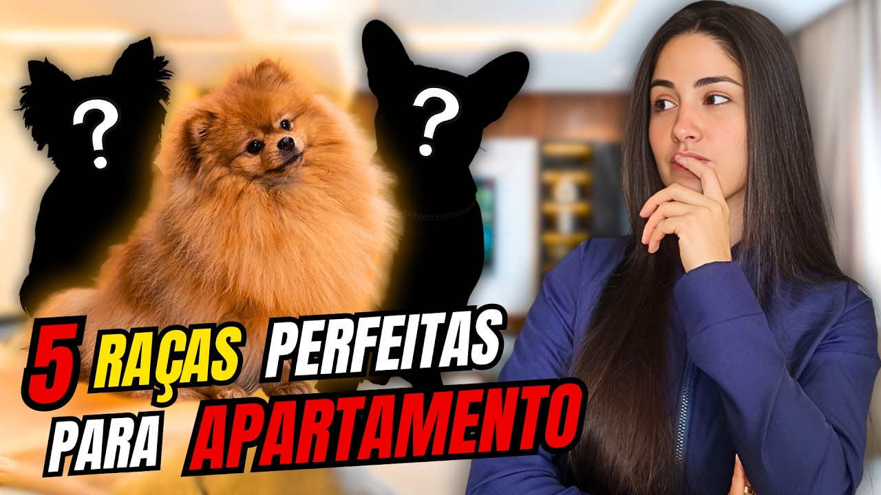 5 MELHORES Raças De Cachorros para Apartamento