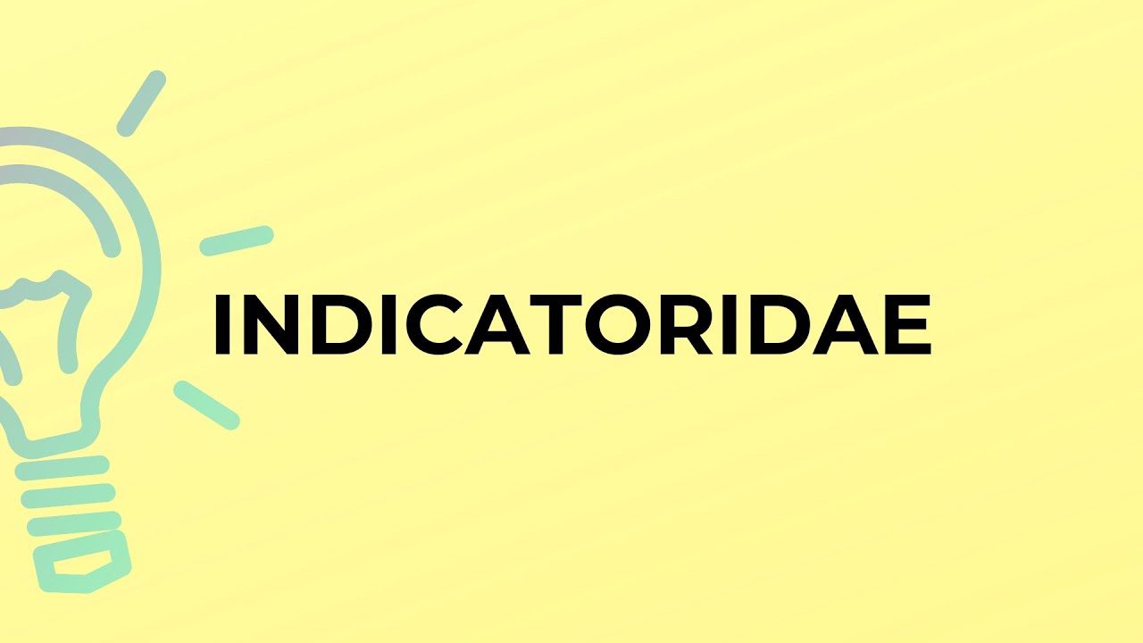 What is the meaning of the word INDICATORIDAE?