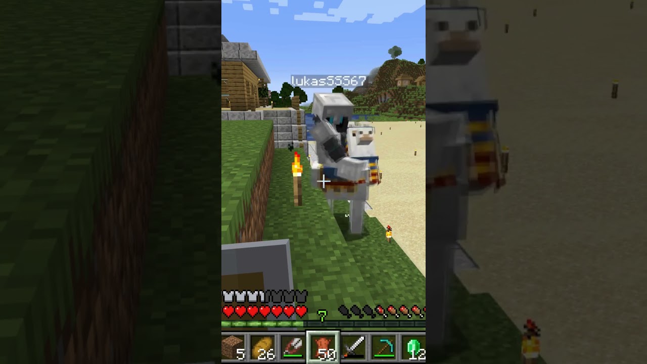 ENCORE UNE SOIREE NORMALE SUR LE SERVEUR #leonax #minecraft #minecraftshorts