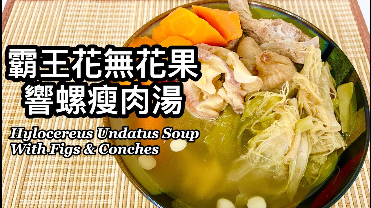 粵語 | 霸王花無花果響螺瘦肉湯 | 潤肺、清熱、化痰止咳 | Hylocereus Undatus Soup With Figs & Conches
