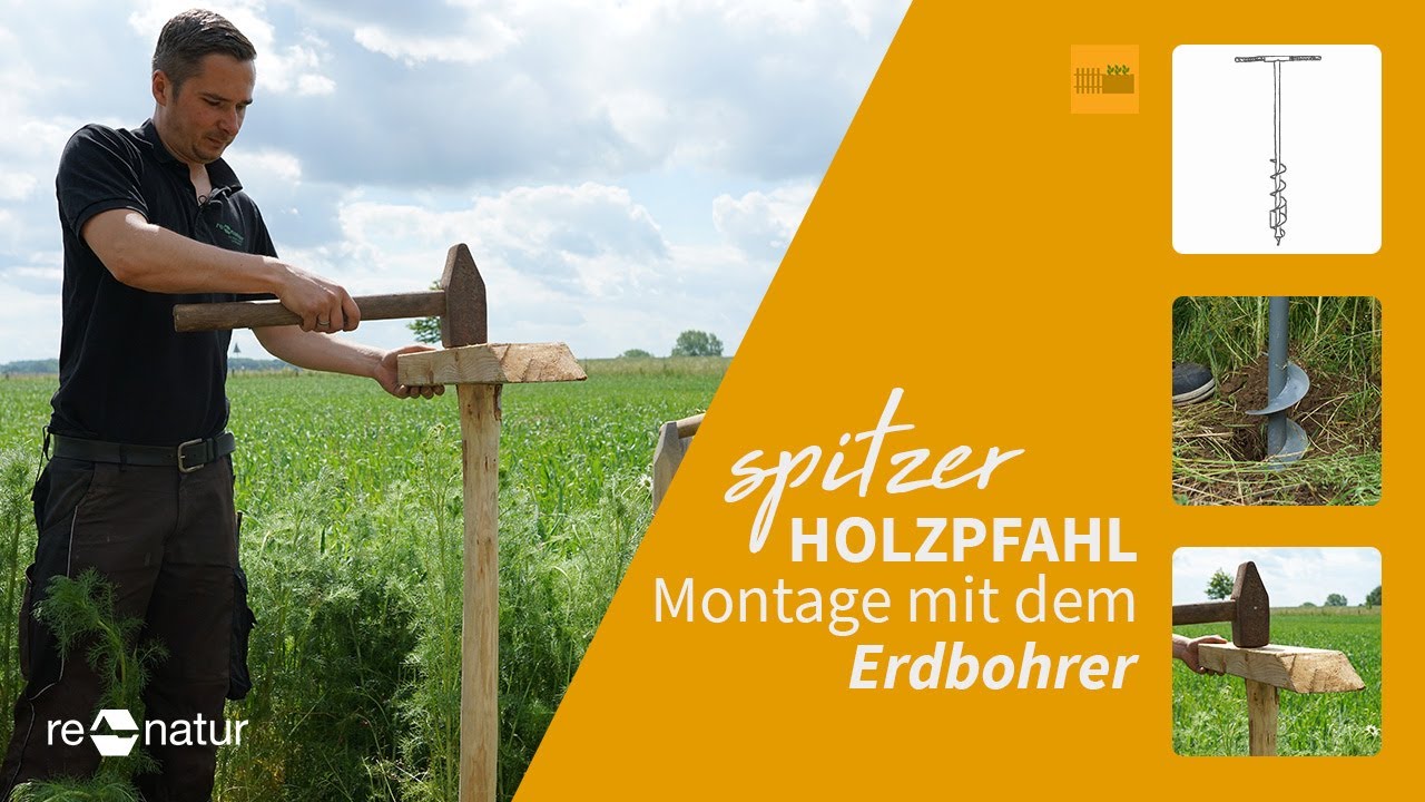 Holzpfahl mit Spitze im Boden befestigen - so einfach geht's!