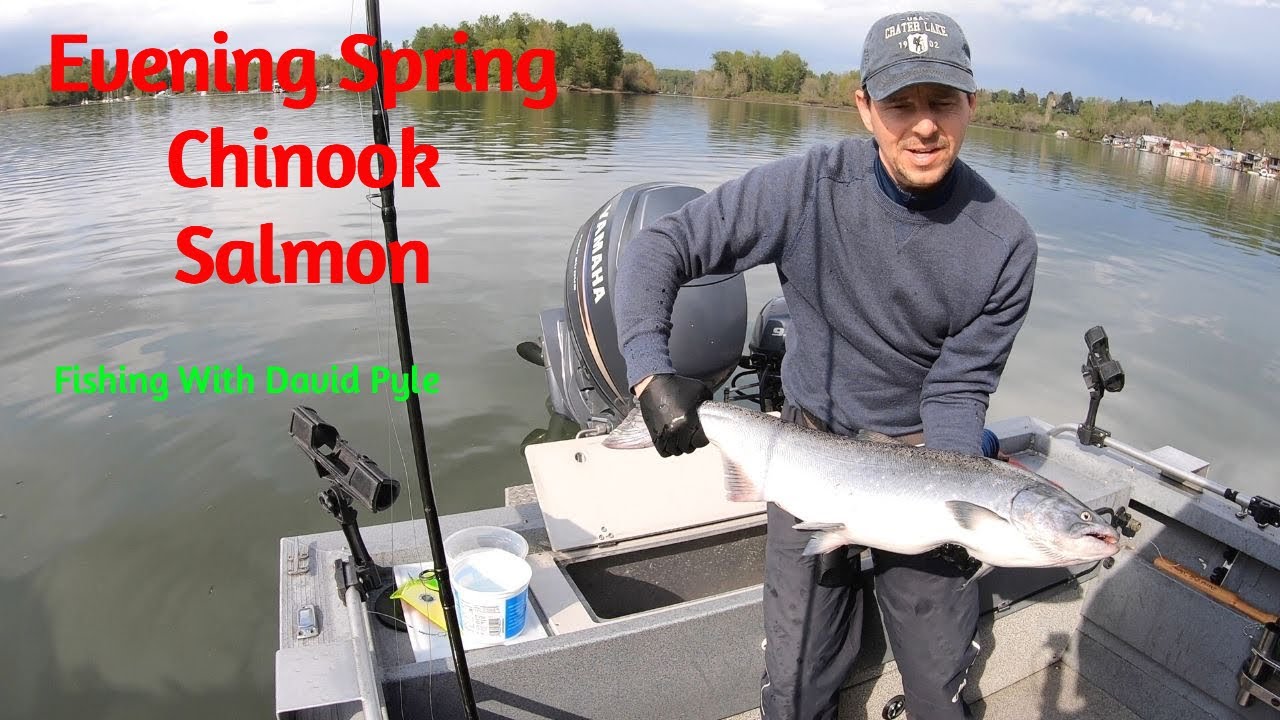 Willamette River Spring Chinook Salmon (Evening Fishing).