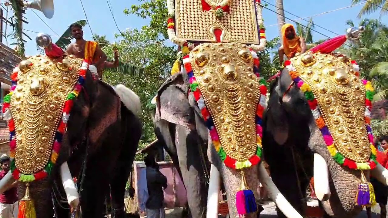 Thamarakulam ayyappan vilakku 2019