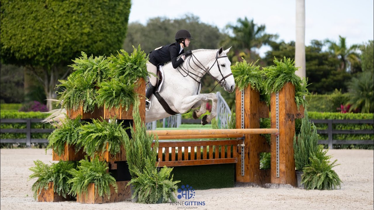 Kendall Dey & Cool Carlsson - ASPCA Maclay - Wellington Equestrian Festival (3rd) 