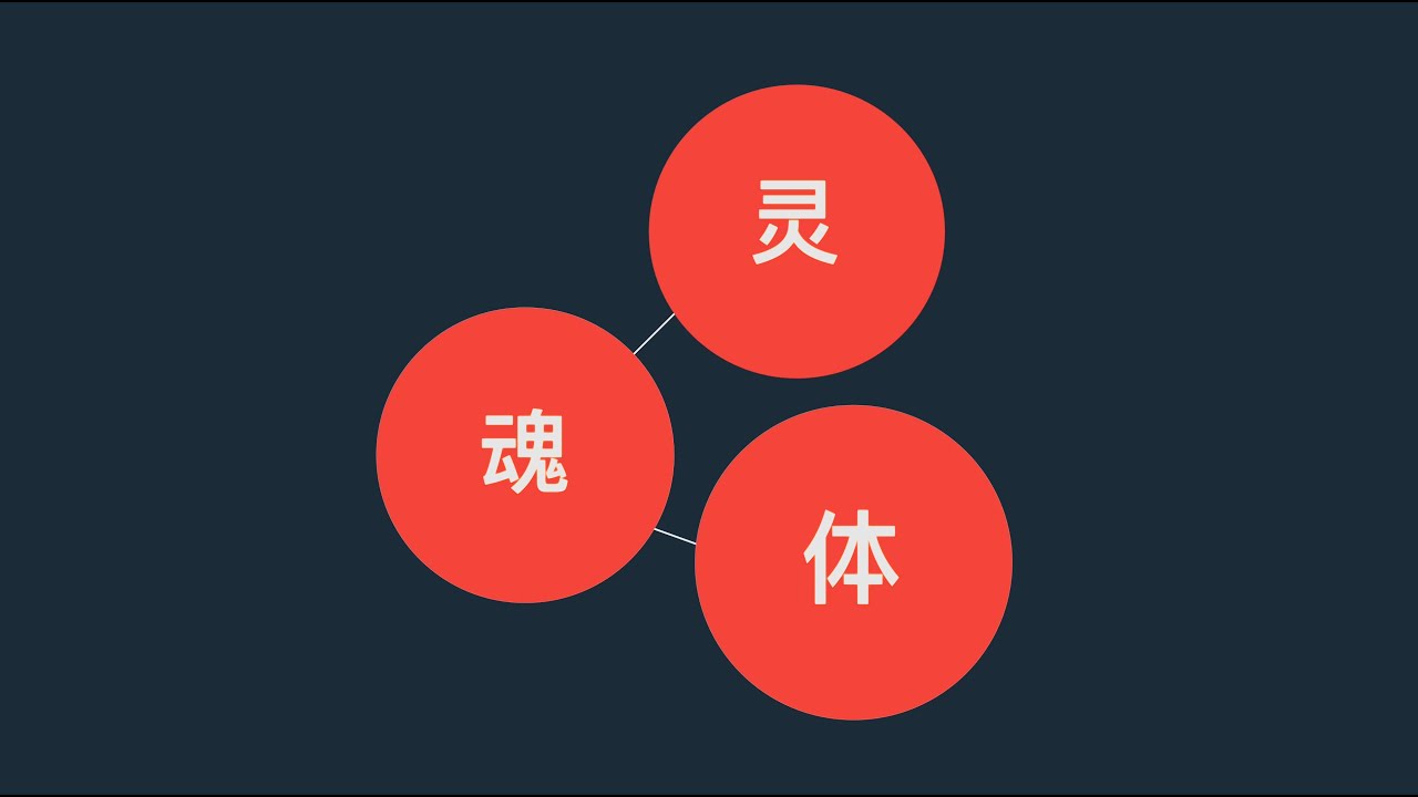 灵魂体 3