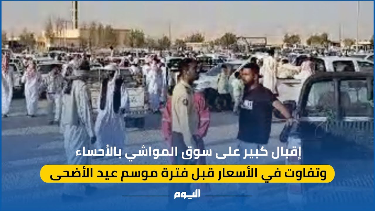 إقبال كبير على سوق المواشي بالأحساء وتفاوت في الأسعار قبل فترة موسم عيد الأضحى