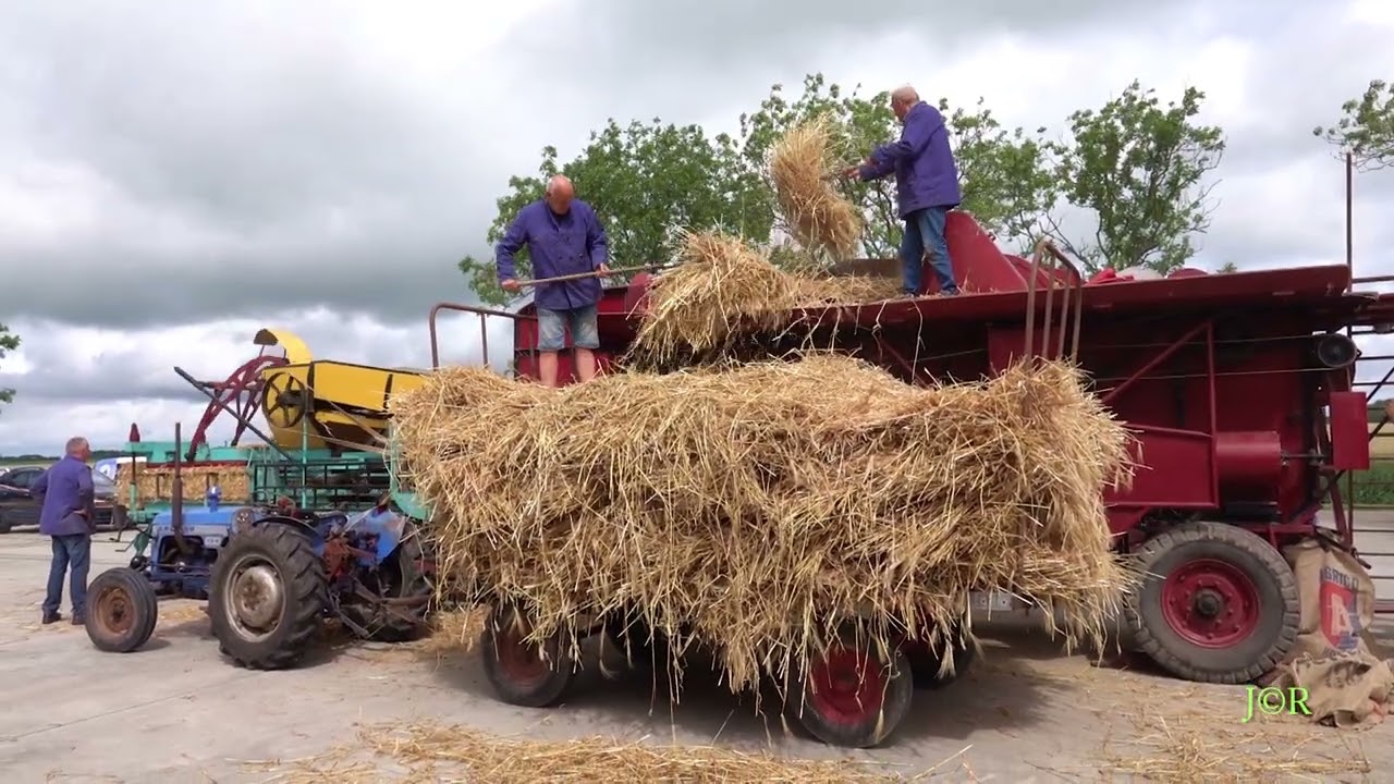 Stichting Dorsgarnituur Marne-Halfambt aan het gerst dorsen met een Borga Dorskast en Borga Stropers