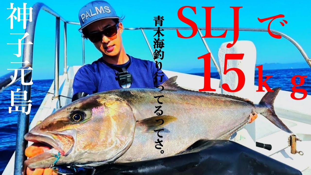 【神回】SLJで神子元島の巨大カンパチと壮絶ファイト！