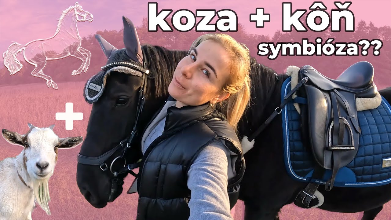 Prešla Penge potok? 🌊 Mini koza🐐 a kôň 🐴 | video so psami a koňmi | jazdenie na koni