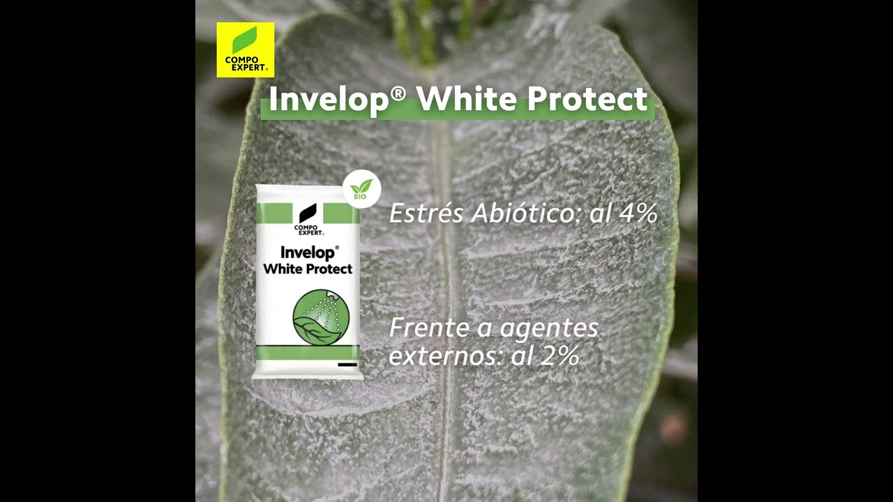 Invelop® White Protect - COMPO EXPERT