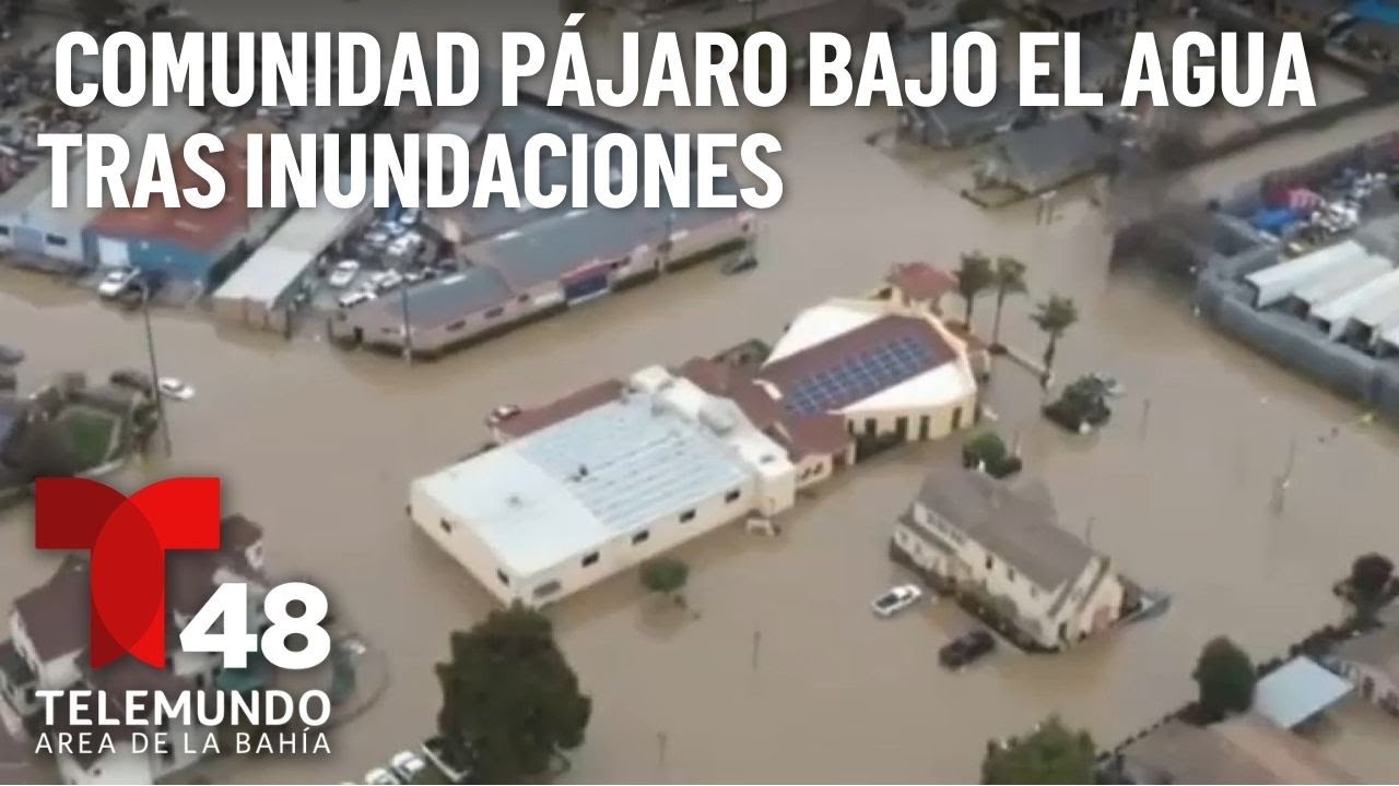 Reina la incertidumbre en residentes evacuados de la comunidad Pájaro por inundaciones