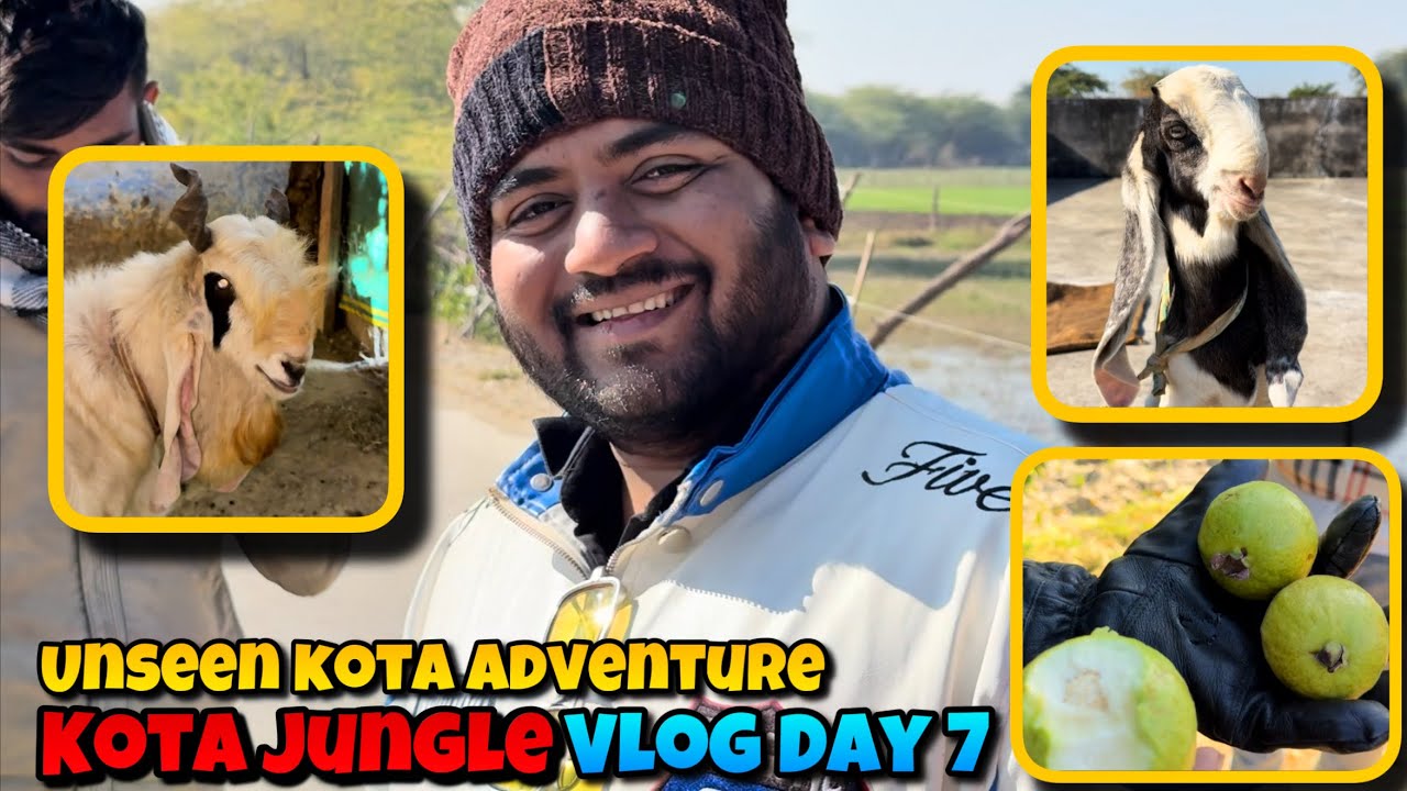 KOTA JUNGLE VLOG DAY 7 | UNSEEN KOTA GOATS and EXPERIENCE