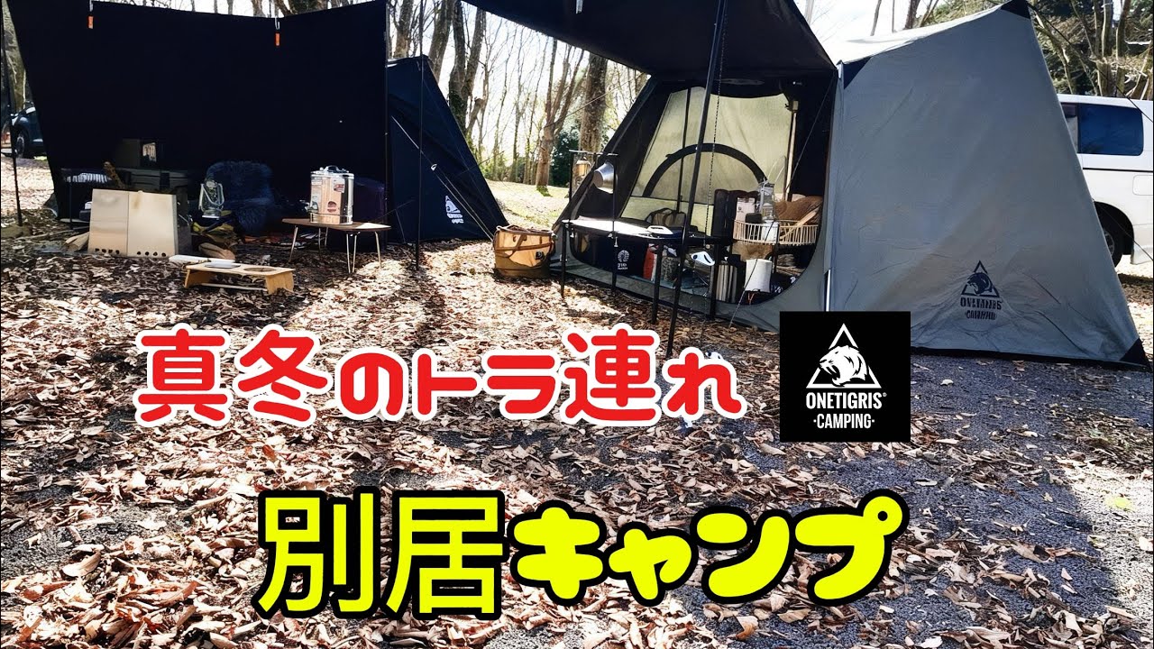 真冬のトラ連れキャンプ