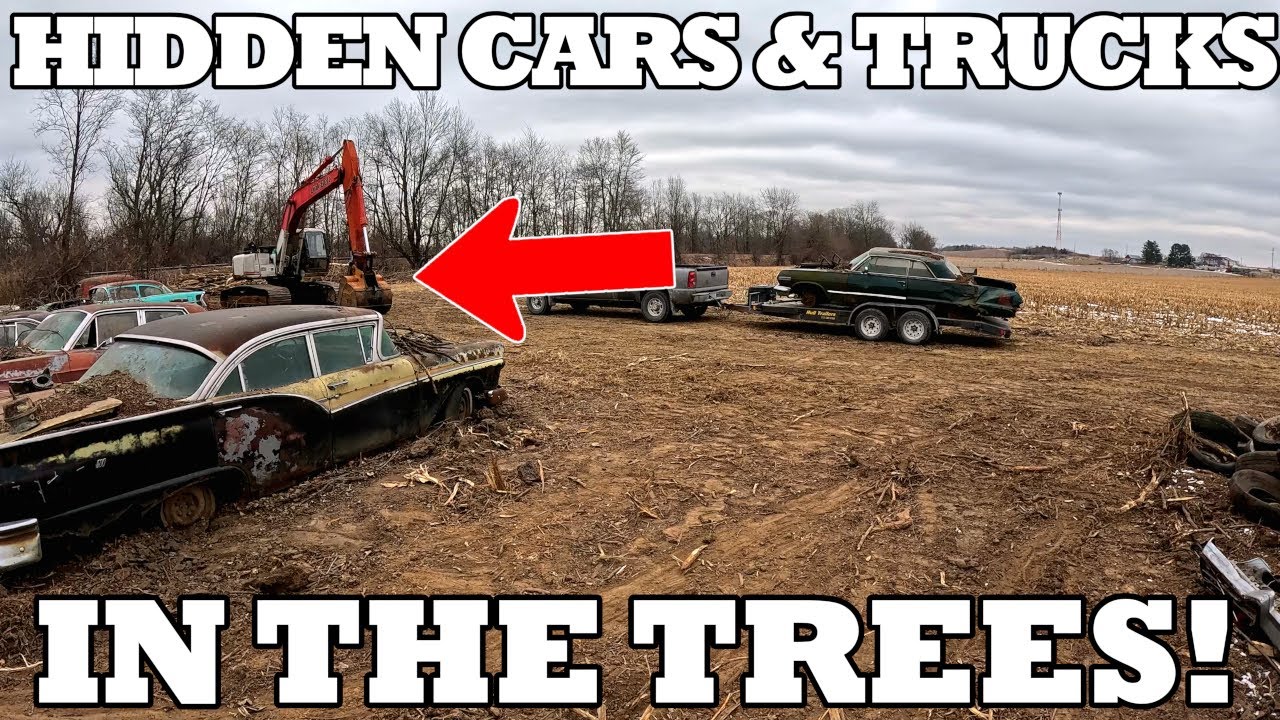 Small Hoard of Old Cars & trucks HIDDEN In the Tree Line! Crusher Bound if NOT SAVED SOON!