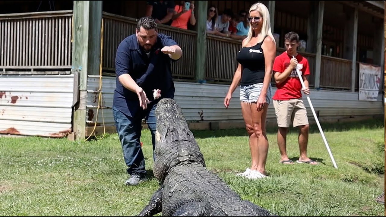 The Texas Bucket List - Gator Country in Beaumont