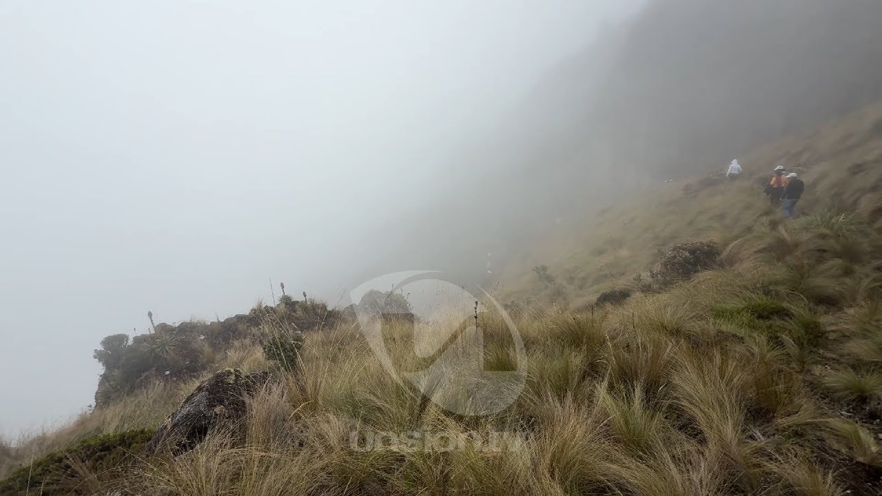 Defensores del agua exhortan a las autoridades acciones concretas para cuidar las fuentes hídricas