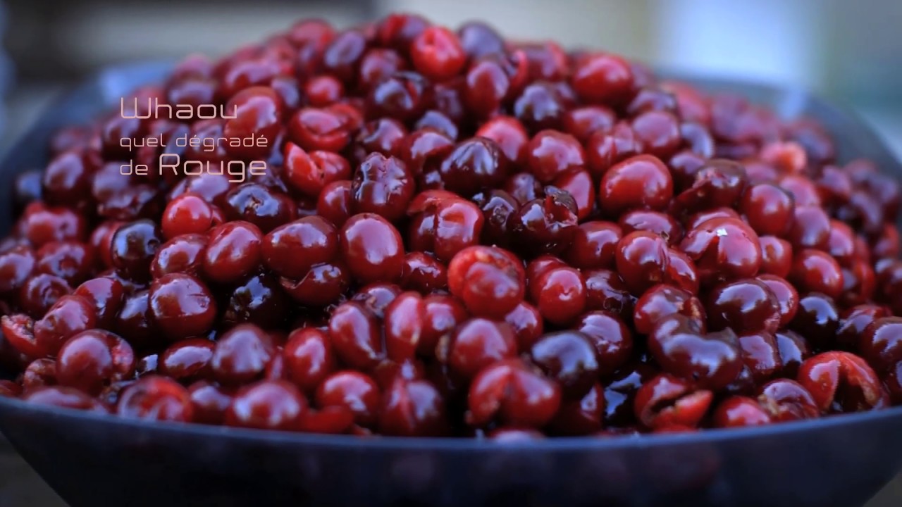 Confiture Maison - Le temps des Cerises