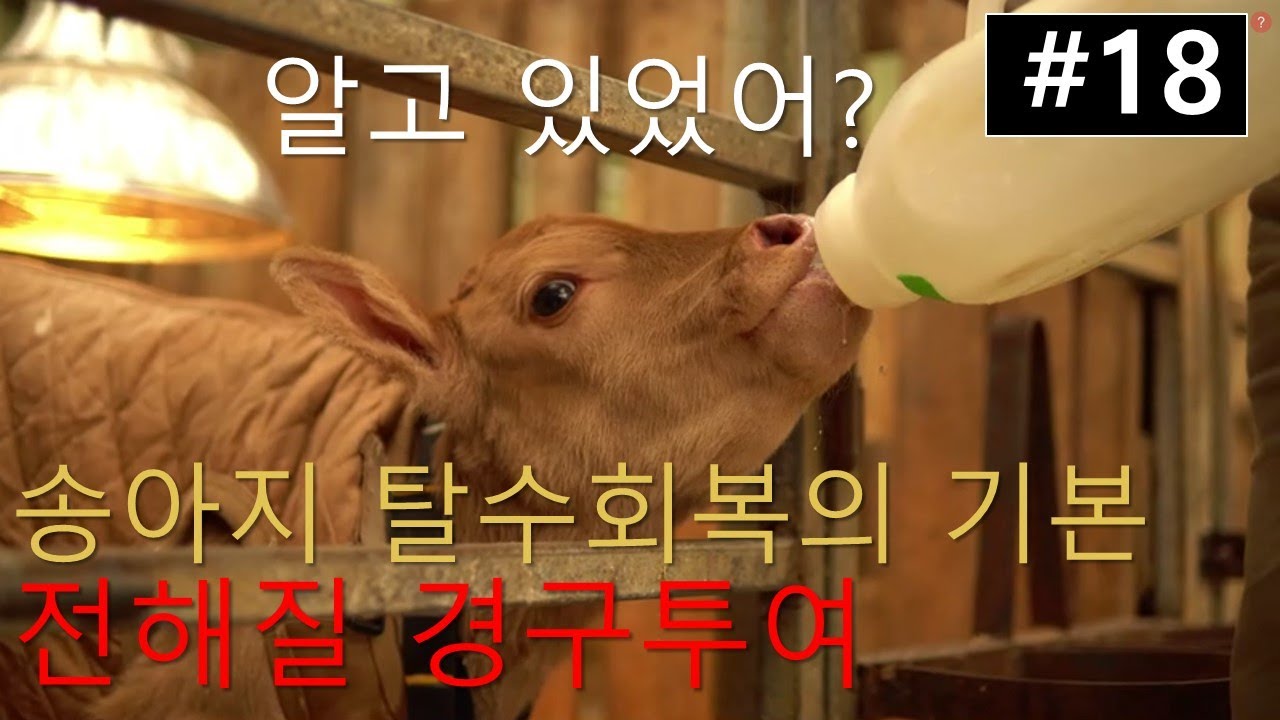 김박사의한우이야기 #18