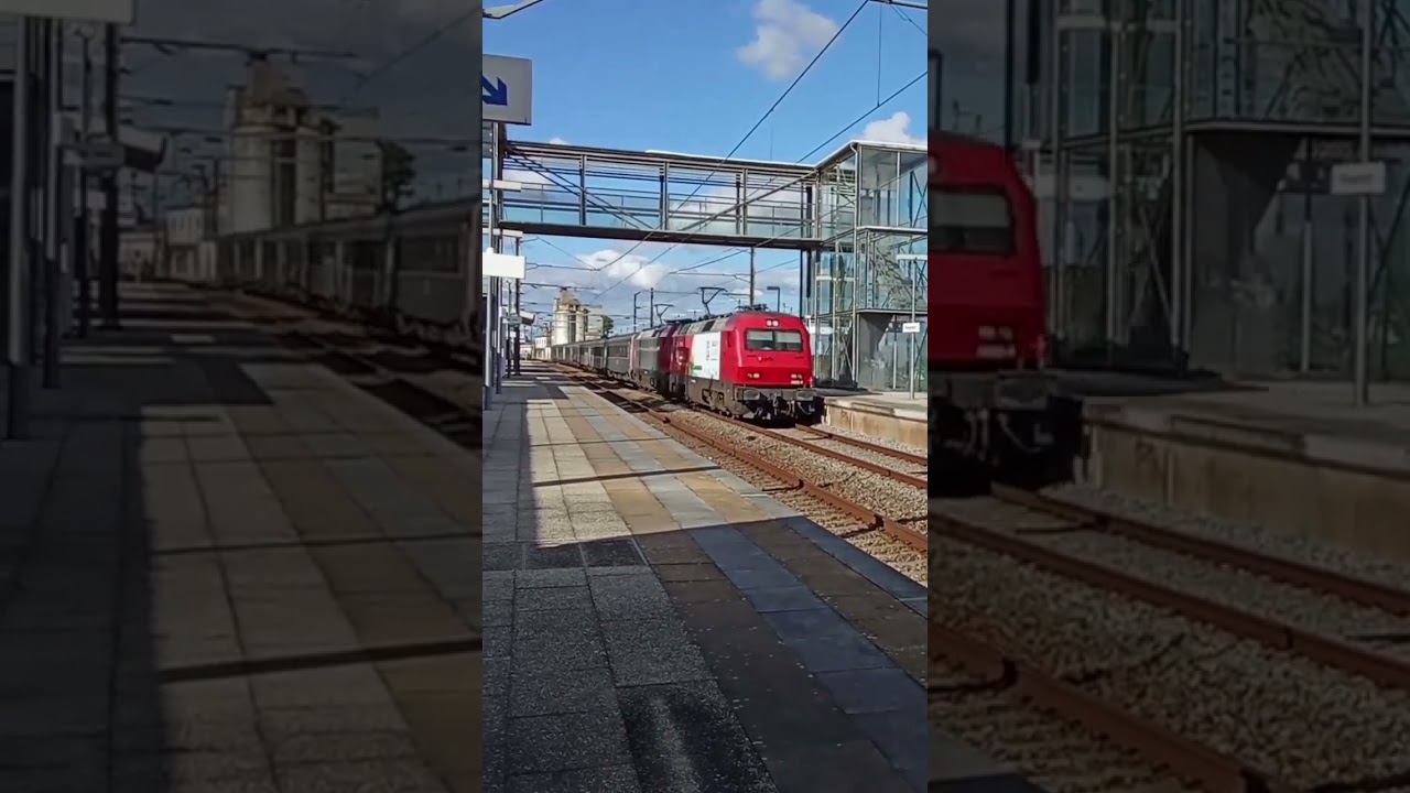 CP 5603+5608+material do IC 542+corail vip+material do IC 540 a passar no apeadeiro do Reguengo