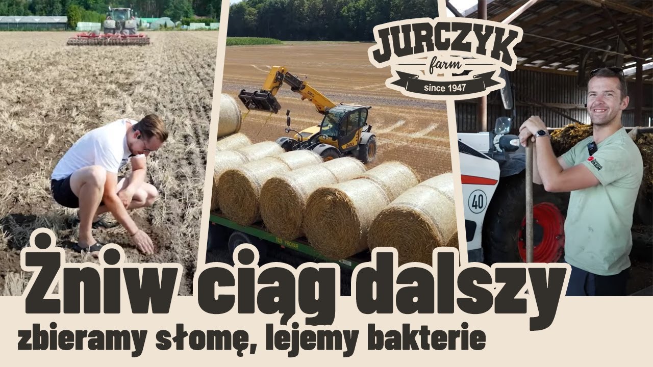 25. Kończymy pszenicę, zbieramy słomę i lejemy bakterie na ściernisko #zniwa #jurczykfarm