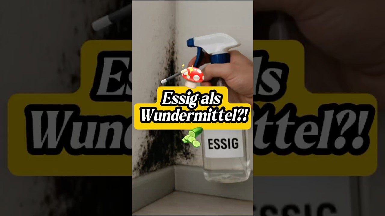 🧴 Schimmel mit Essig reinigen &ndash; gute Idee oder Mythos? ⚠️