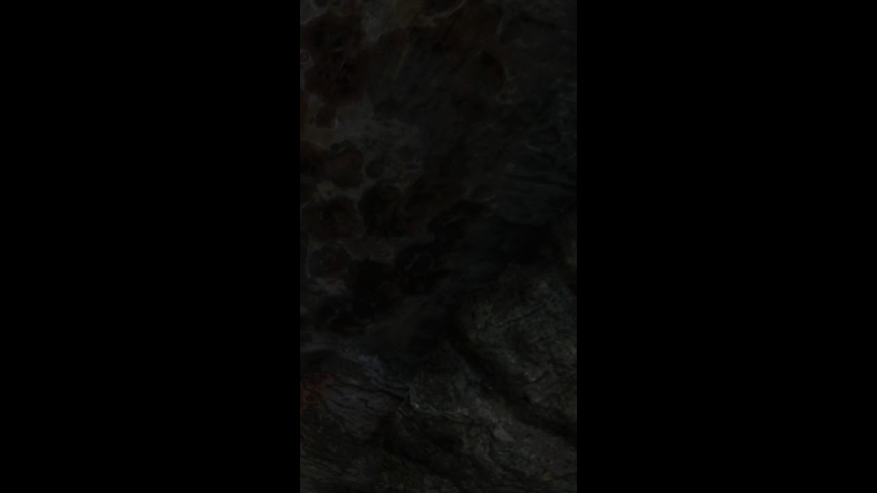 shadow of the tomb raider