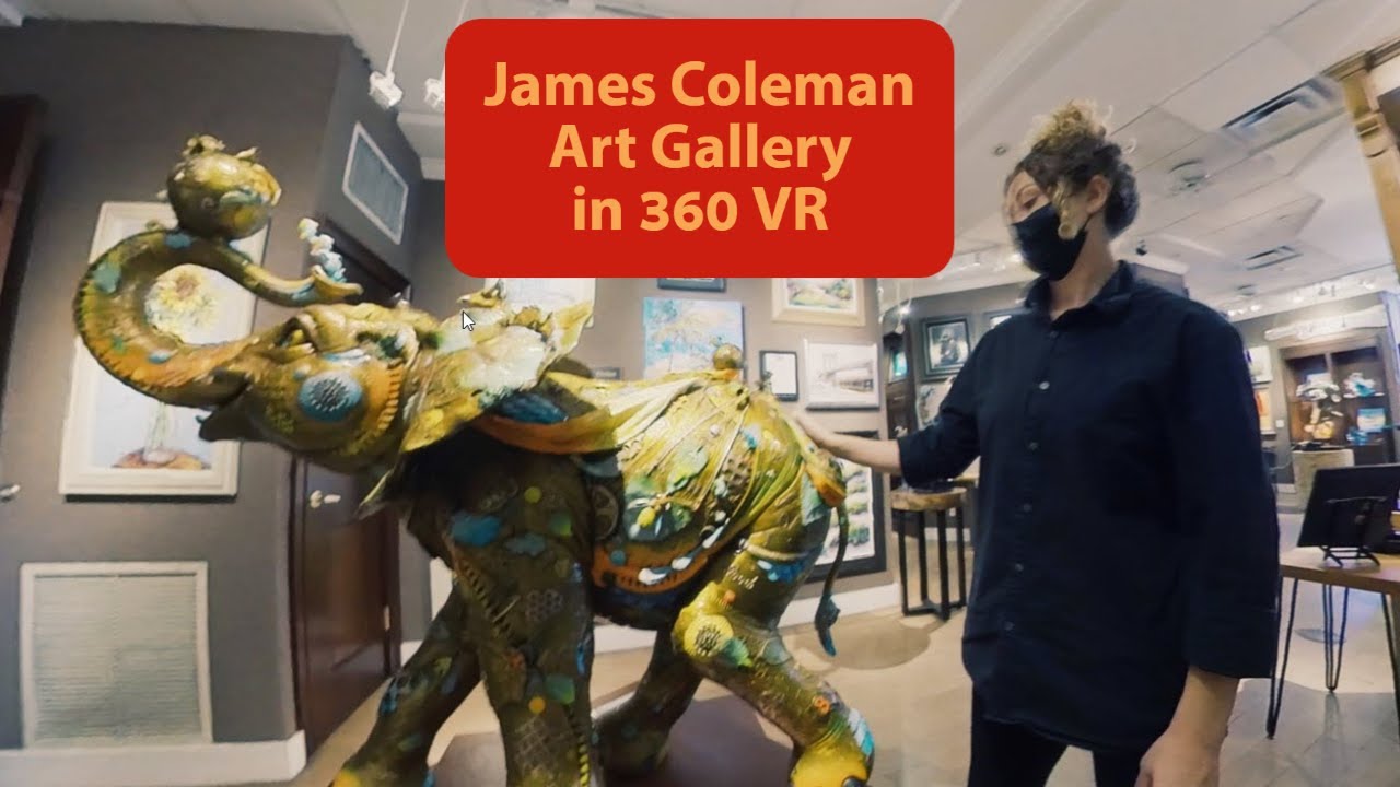 James Coleman Art Gallery in St. Augustine || 360 VR Video