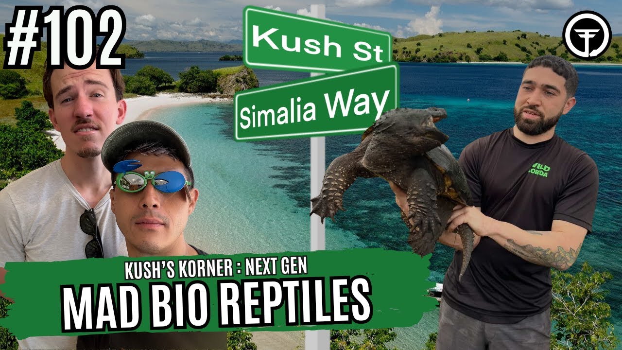 Living The Florida Herp Life | Kush's Korner : Next Gen Live