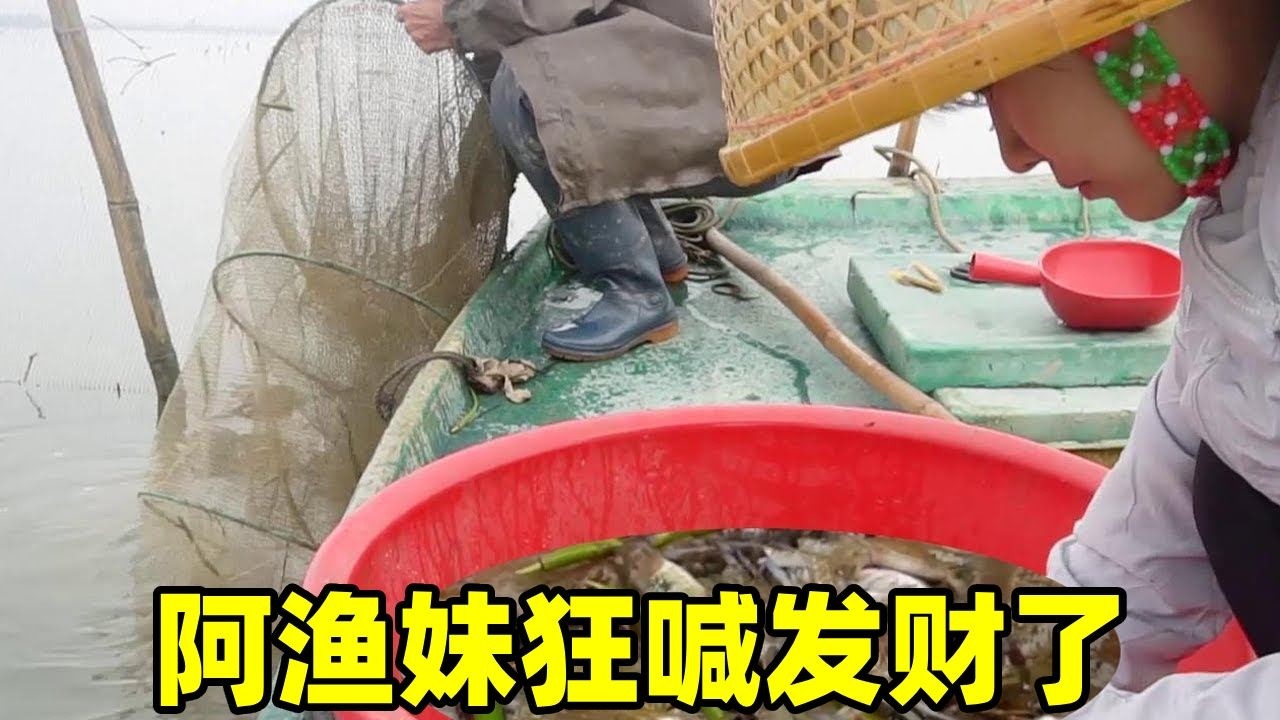 网笼里面大货涌动，阿渔妹倒出一看，狂喊：发财了，这货真的好肥【阿渔妹】