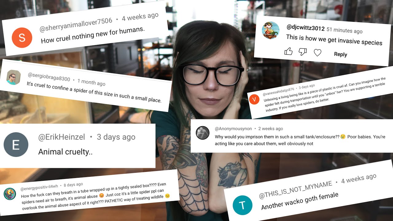 Responding to accusations & criticism