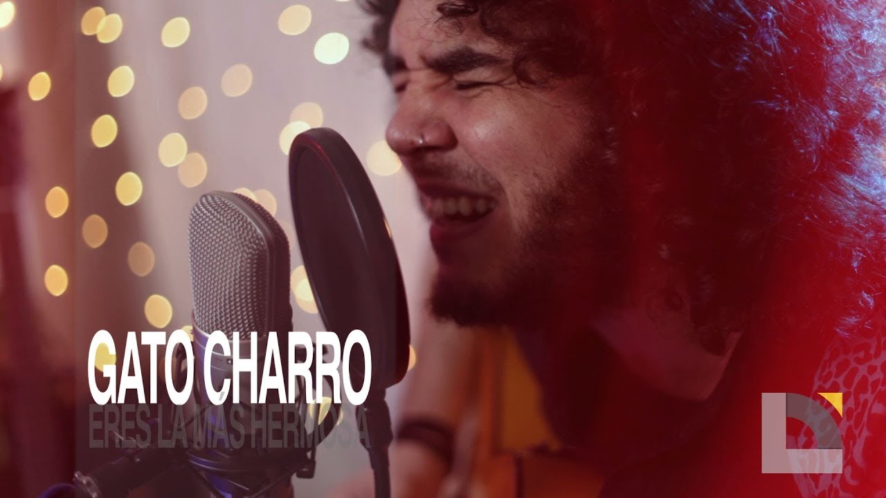 Gato Charro - Eres la m&aacute;s hermosa