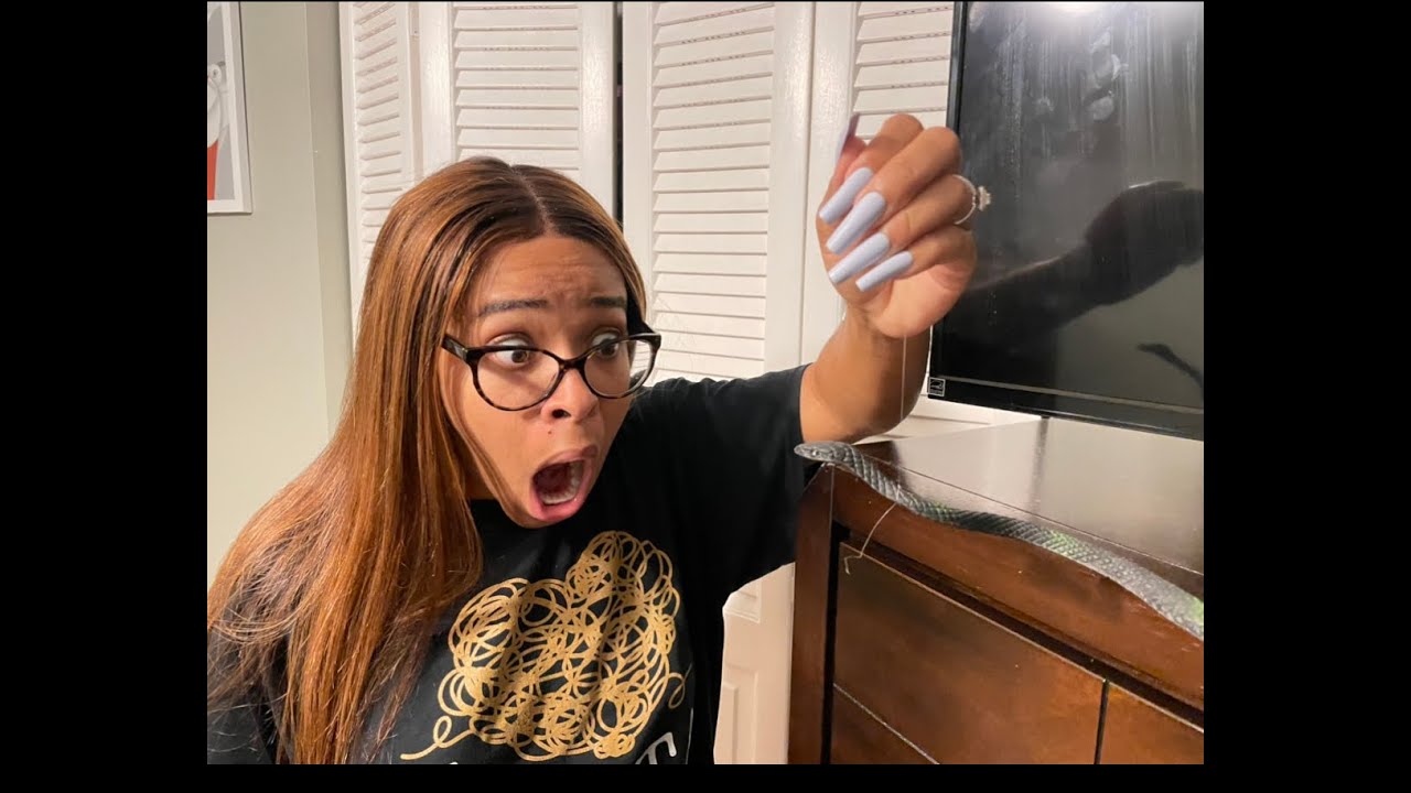 SNAKE PRANK GOES WRONG!!! 🤦🏽‍♀️🤣😬😡💃🏽☠️ *HILARIOUS*