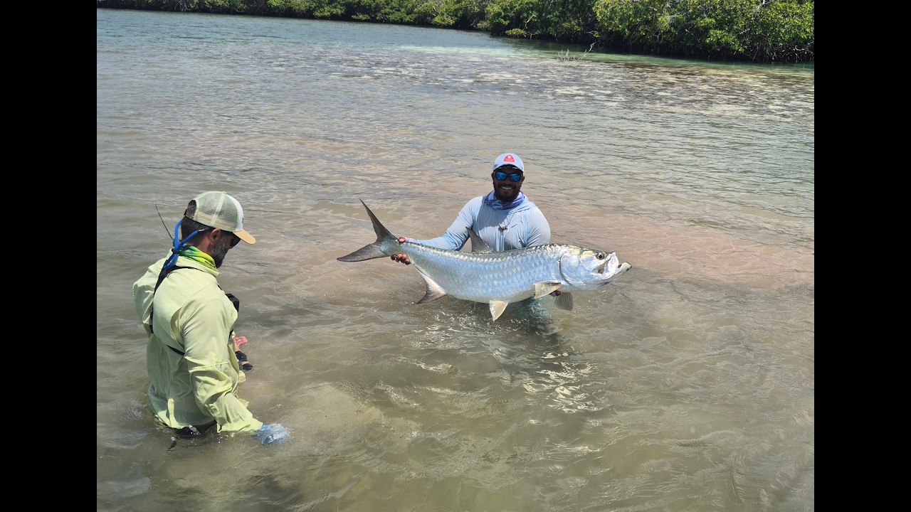 Los Roques 2025 - Venezuela - a Fly Fishing Adventure for Tarpon, Bonefish and Permit - Episode 5