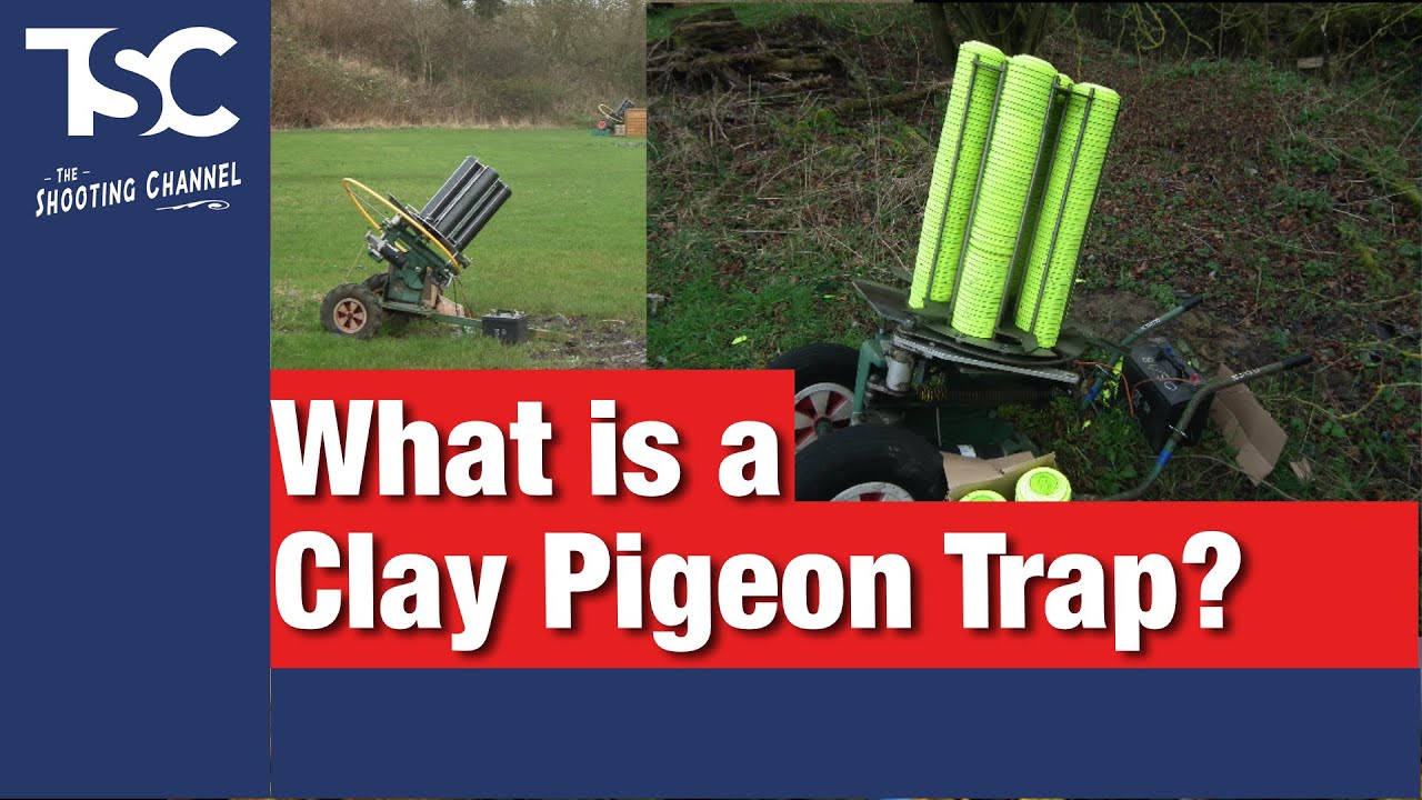 What is a clay pigeon trap?