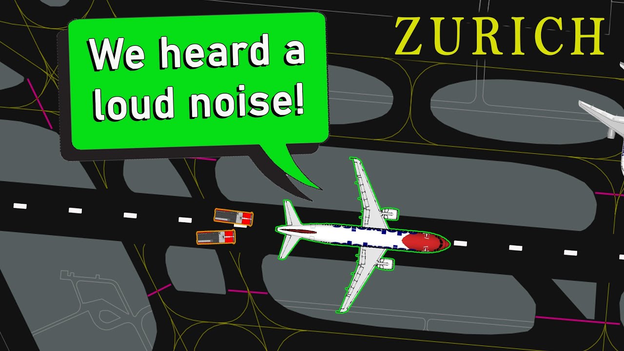 Edelweiss suffers BIRD STRIKE AND REJECTS TAKEOFF at Zurich