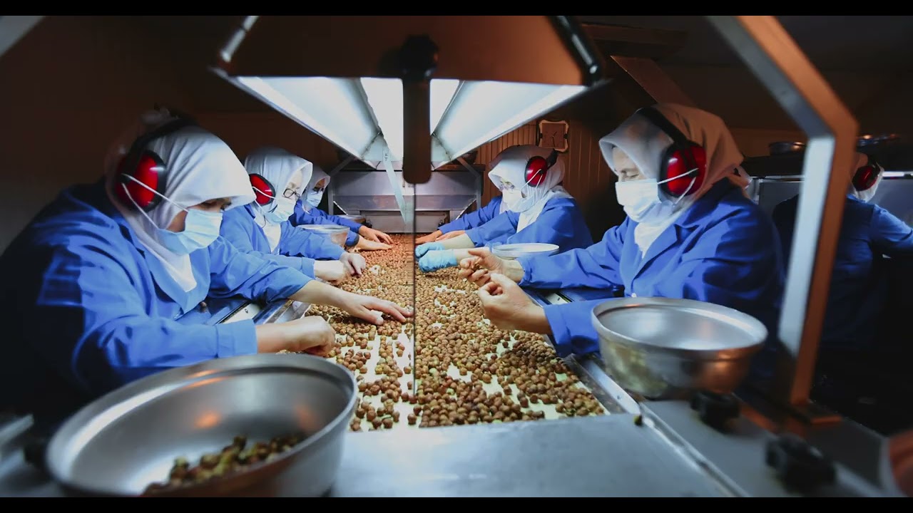 Durak Fındık Tanıtım Filmi - Durak Hazelnuts Promotional Movie
