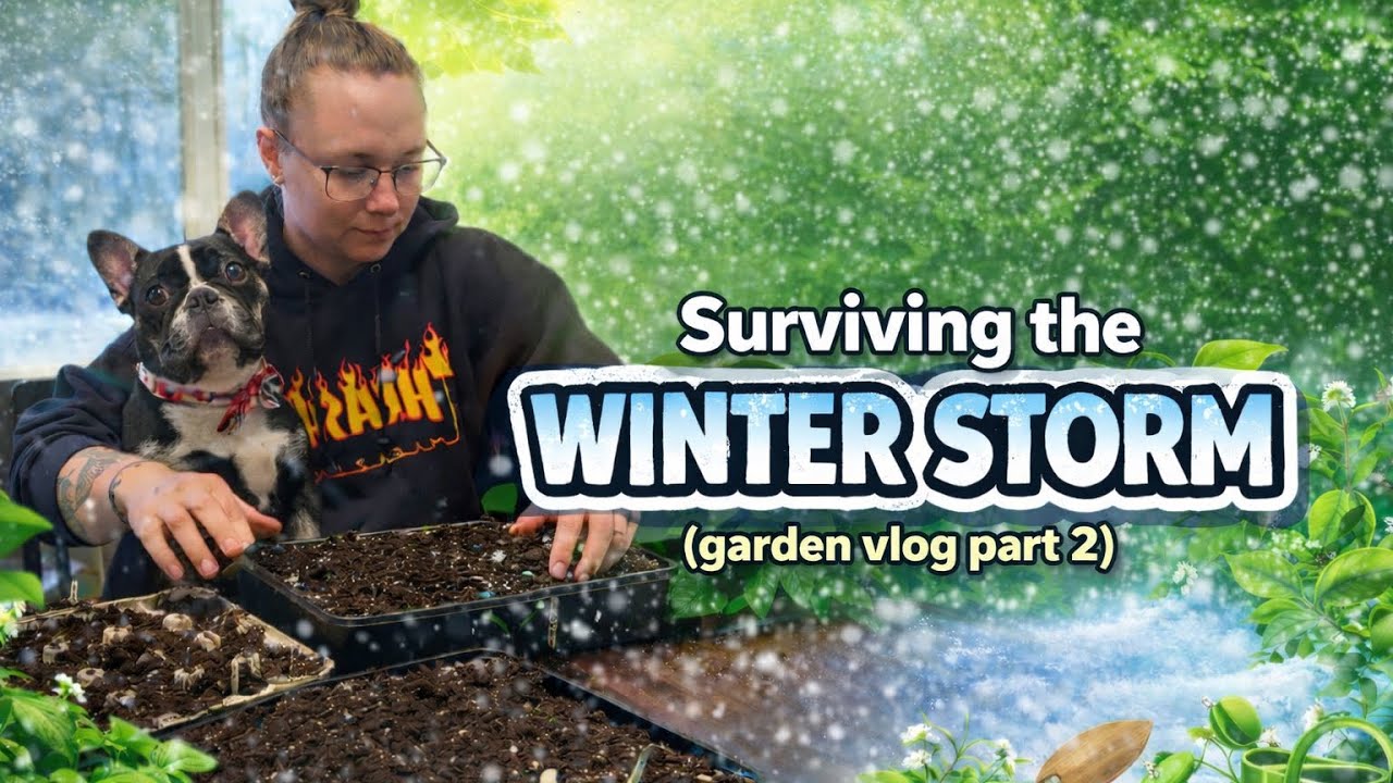 Surviving the winter storm (garden vlog 2)