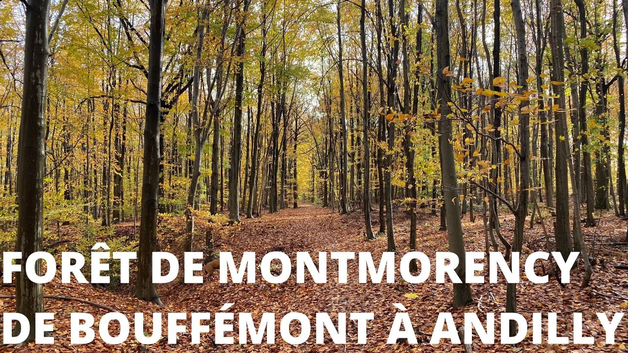FORÊT DE MONTMORENCY DE BOUFFÉMONT À ANDILLY
